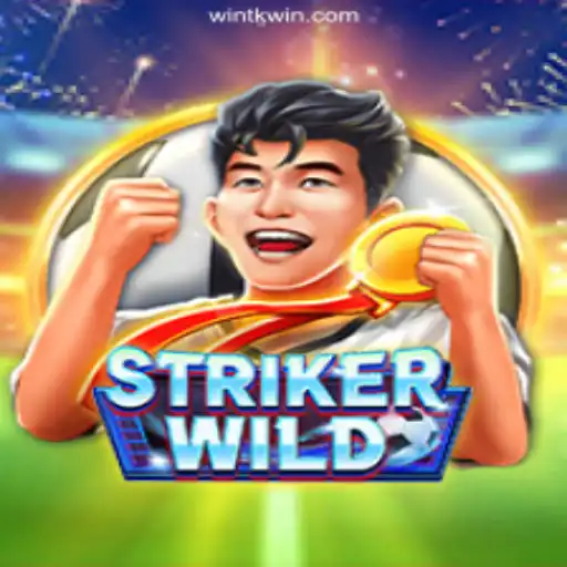 TKWIN.com platform-online cassino Brasil #1 Casino App